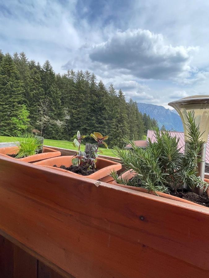 Ferienhaus Praschberg Niederndorferberg Exterior foto